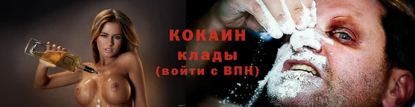 кокс Алексин